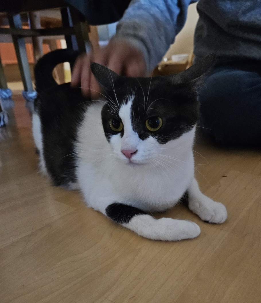동대문구청_411305202400824